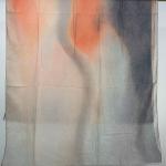 Water Color Vela Style Blur Print Scarf